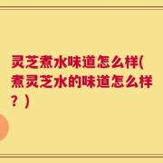 灵芝煮水味道怎么样(煮灵芝水的味道怎么样？)