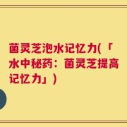 菌灵芝泡水记忆力(「水中秘药：菌灵芝提高记忆力」)