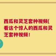 西瓜和灵芝套种视频(看这个惊人的西瓜和灵芝套种视频！