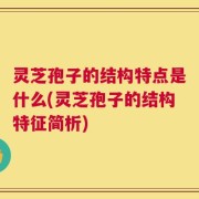 灵芝孢子的结构特点是什么(灵芝孢子的结构特征简析)