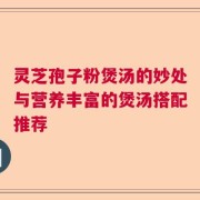 灵芝孢子粉煲汤的妙处与营养丰富的煲汤搭配推荐