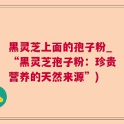 黑灵芝上面的孢子粉_“黑灵芝孢子粉：珍贵营养的天然来源”)
