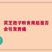 灵芝孢子粉食用后是否会引发胃痛