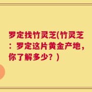 罗定找竹灵芝(竹灵芝：罗定这片黄金产地，你了解多少？)