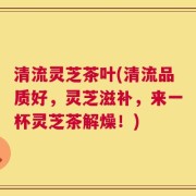 清流灵芝茶叶(清流品质好，灵芝滋补，来一杯灵芝茶解燥！)