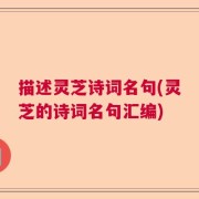 描述灵芝诗词名句(灵芝的诗词名句汇编)