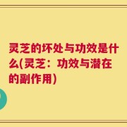 灵芝的坏处与功效是什么(灵芝：功效与潜在的副作用)