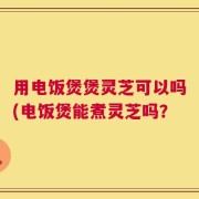 用电饭煲煲灵芝可以吗(电饭煲能煮灵芝吗？