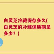 白灵芝冷藏保存多久(白灵芝的冷藏保质期是多少？)