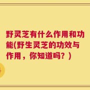 野灵芝有什么作用和功能(野生灵芝的功效与作用，你知道吗？)