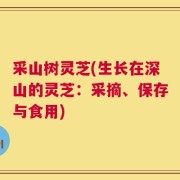 采山树灵芝(生长在深山的灵芝：采摘、保存与食用)