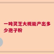 一吨灵芝大概能产出多少孢子粉