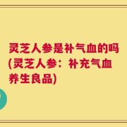 灵芝人参是补气血的吗(灵芝人参：补充气血养生良品)