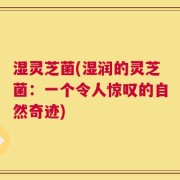 湿灵芝菌(湿润的灵芝菌：一个令人惊叹的自然奇迹)