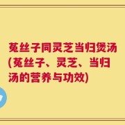 菟丝子同灵芝当归煲汤(菟丝子、灵芝、当归汤的营养与功效)