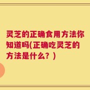 灵芝的正确食用方法你知道吗(正确吃灵芝的方法是什么？)