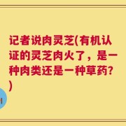 记者说肉灵芝(有机认证的灵芝肉火了，是一种肉类还是一种草药？)