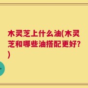 木灵芝上什么油(木灵芝和哪些油搭配更好？)