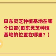 田东灵芝种植基地在哪个位置(田东灵芝种植基地的位置在哪里？)