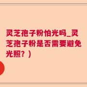 灵芝孢子粉怕光吗_灵芝孢子粉是否需要避免光照？)