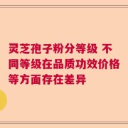 灵芝孢子粉分等级 不同等级在品质功效价格等方面存在差异