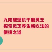 九阳破壁机干磨灵芝 探索灵芝养生新吃法的便捷之道