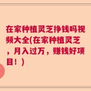 在家种植灵芝挣钱吗视频大全(在家种植灵芝，月入过万，赚钱好项目！)