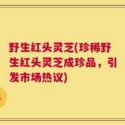 野生红头灵芝(珍稀野生红头灵芝成珍品，引发市场热议)