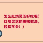 怎么红烧灵芝好吃呢(红烧灵芝的美味做法，轻松学会！)