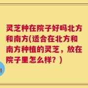 灵芝种在院子好吗北方和南方(适合在北方和南方种植的灵芝，放在院子里怎么样？)