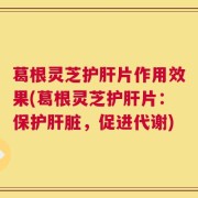 葛根灵芝护肝片作用效果(葛根灵芝护肝片：保护肝脏，促进代谢)