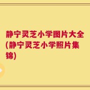 静宁灵芝小学图片大全(静宁灵芝小学照片集锦)