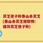 灵芝孢子粉泰山赤灵芝(泰山赤灵芝提取物：强效灵芝孢子粉)