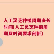 人工灵芝种植周期多长时间(人工灵芝种植周期及时间要求剖析)