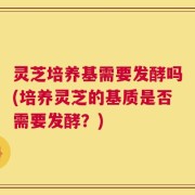 灵芝培养基需要发酵吗(培养灵芝的基质是否需要发酵？)