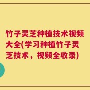 竹子灵芝种植技术视频大全(学习种植竹子灵芝技术，视频全收录)