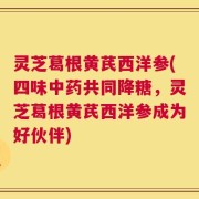 灵芝葛根黄芪西洋参(四味中药共同降糖，灵芝葛根黄芪西洋参成为好伙伴)