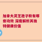 加拿大灵芝孢子粉有哪些功效 深度解析其独特健康价值