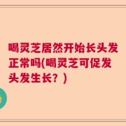 喝灵芝居然开始长头发正常吗(喝灵芝可促发头发生长？)