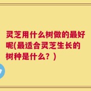灵芝用什么树做的最好呢(最适合灵芝生长的树种是什么？)