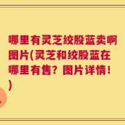 哪里有灵芝绞股蓝卖啊图片(灵芝和绞股蓝在哪里有售？图片详情！)