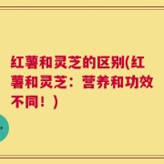 红薯和灵芝的区别(红薯和灵芝：营养和功效不同！)