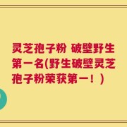 灵芝孢子粉 破壁野生第一名(野生破壁灵芝孢子粉荣获第一！)
