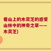 看山上的木灵芝的感受山林中的神奇之草——木灵芝)