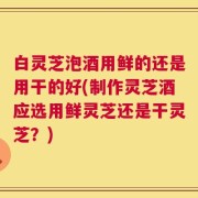 白灵芝泡酒用鲜的还是用干的好(制作灵芝酒应选用鲜灵芝还是干灵芝？)