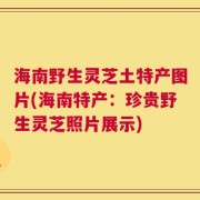 海南野生灵芝土特产图片(海南特产：珍贵野生灵芝照片展示)