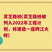 灵芝路桥(灵芝路桥被列入2022年工程计划，将建造一座跨江大桥)