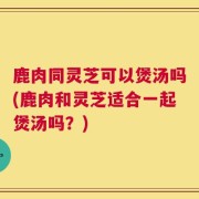 鹿肉同灵芝可以煲汤吗(鹿肉和灵芝适合一起煲汤吗？)