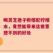 喝灵芝孢子粉搭配柠檬水，竟然能带来这些意想不到的好处