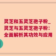 灵芝和五灵芝孢子粉_灵芝与五灵芝孢子粉：全面解析其功效与应用